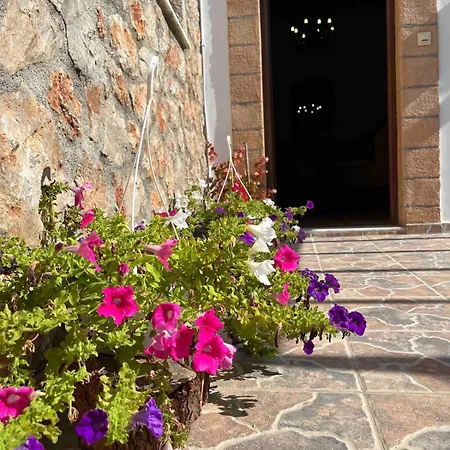 Vakantiehuis Traditional