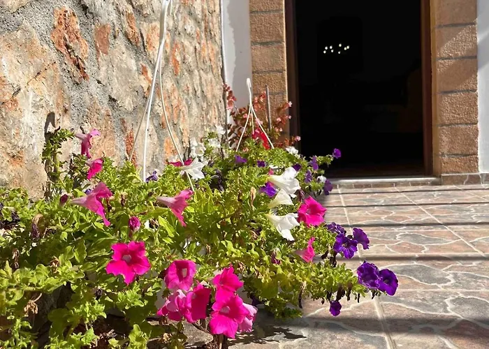 בית נופש Traditional